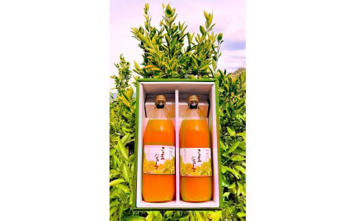 清見オレンジ ジュース 100％ 1000ml 2本セット 2110510 - 和歌山県白浜町