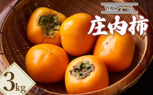 【令和7年産先行予約】 庄内柿 約3kg 山形県鶴岡市産 菅原ファーム 2104797 - 山形県鶴岡市
