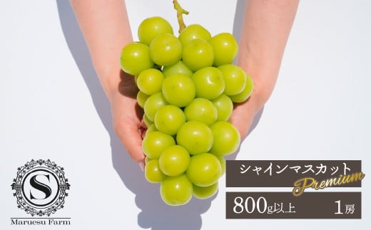 [25年発送先行予約]「マルエス農園」プレミアムシャインマスカット 1房 800g以上 216-002