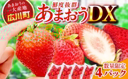 【★先行予約★　2026年2月より発送】あまおうDX等級  2ケース（270g×4パック） いちご イチゴ 苺 フルーツ 果物 旬 福岡県産 小分け あまおう 博多 産地直送 大きい 甘い いちご イチゴ 広川町 / JAふくおか八女農産物直売所どろや [AFAB004] 1251194 - 福岡県広川町