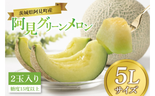 【先行予約 6月中旬から順次配送】メロン　阿見グリーンメロン　5Ｌサイズ（2玉入り）（化粧箱）【果物 甘い めろん 茨城県 阿見町産】(76-03)