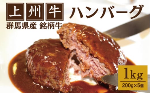 上州牛ハンバーグ1kg(200g×5個) 491002 - 群馬県みどり市