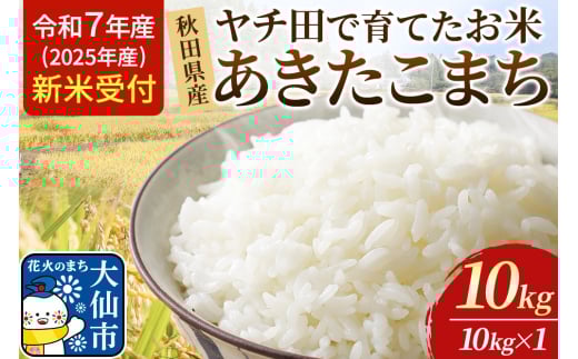 《令和7年産 新米受付》【白米】秋田県産 あきたこまち ヤチ田で育てたお米 精米 10kg