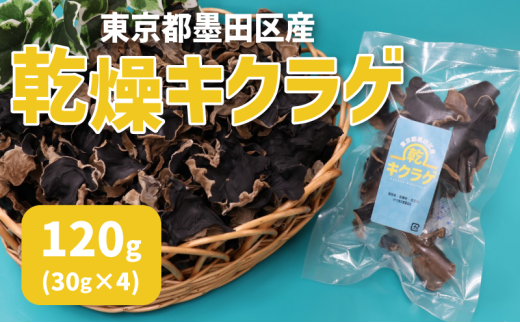 東京都墨田区産　乾燥キクラゲ120g（30g×4袋）　食品 野菜 きのこ キノコ きくらげ キクラゲ 木耳 純国産 コリコリ[№5619-2138]