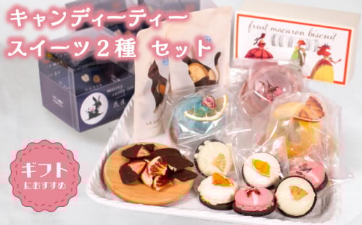 キャンディーティー スイーツ 2種 セット  ( ドライフルーツ りんご みかん オレンジ フルーツ 果物 くだもの マカロン 詰め合わせ ギフト プレゼント ) 下関 山口