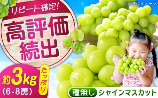 数量限定/9月上旬〜9月下旬頃発送 沼隈ぶどう 沼隈ぶどう「シャインマスカット」約1kg×3 6~8房 広島県福山市/福山市農業協同組合　沼隈グリーンセンター ぶどう ブドウ 葡萄 種なし 大粒 マスカット シャインマスカット [BAEV013]