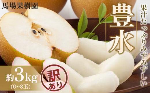 【訳あり】【馬場果樹園】梨「豊水」約5kg（8～14玉入）9月初旬～順次発送