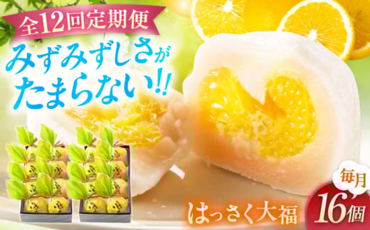 【12回定期便】お菓子 はっさく大福8個入×2　 お菓子 大福 八朔 柑橘 みかん オレンジ 餅 ギフト お取り寄せ スイーツ フルーツ大福 ご当地 菓子 おかし デザート 食品 人気 おすすめ 広島県福山市/株式会社虎屋本舗 [BADH028]