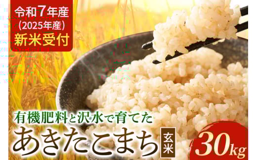 《令和7年産 新米受付》令和7年 秋田県大仙市産 有機肥料と沢水で育てた あきたこまち【玄米】30kg