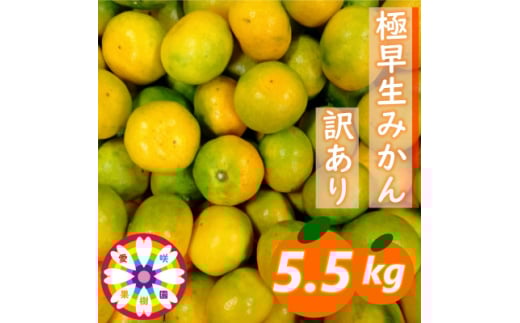 「 極早生 みかん 」訳あり約5.5kg《 愛咲果樹園 》＜A71-24＞【1616825】 2111611 - 愛媛県八幡浜市
