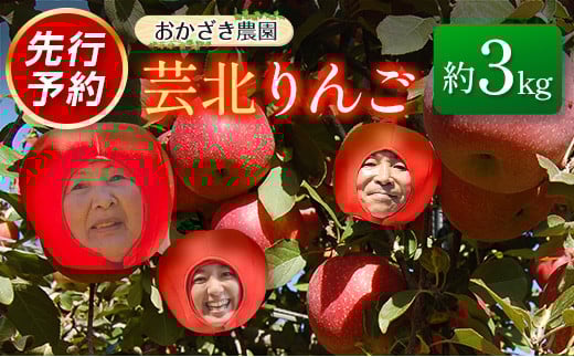 りんご 国産 3kg 農家直送 おかざき農園 芸北りんご 林檎 秋映 陽光 ぐんま名月 あいかの香り ふじ_OK097_001 1331737 - 広島県北広島町