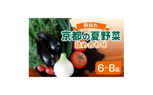 夏野菜 6～8種 セット　京都府久御山町【1623427】