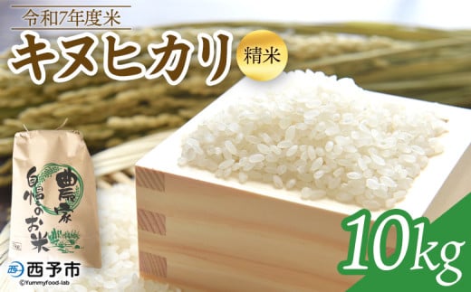 新米 ＜令和7年度 米 キヌヒカリ 精米 10kg＞ 単一原料米 単一米 きぬひかり お米 コメ こめ 白米 ご飯 ライス りの果樹園 愛媛県 西予市【常温】 2110763 - 愛媛県西予市