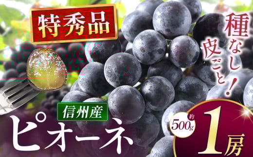 【先行受付】種なしピオーネ 1房(約500g)|ふるさと納税 松本市 ぶどう 種なしぶどう ピオーネ 果物 濃厚 農家 自然 ビタミン 地元 新鮮 2110753 - 長野県松本市