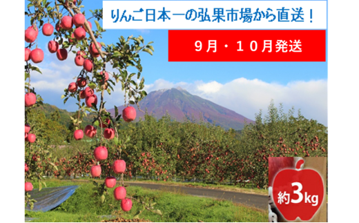 【9月・10月発送】贈答用 早生ふじ 約3kg【西目屋村産・青森りんご】 りんご 林檎 リンゴ 果物 フルーツ くだもの 旬 青森県産 お取り寄せ 詰め合わせ セット 常温 産地直送 送料無料 青森県 西目屋村