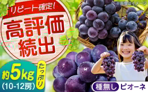 期間限定/8月下旬〜9月上旬頃発送沼隈ぶどう「ピオーネ」約1kg×5 10~12房（種なし） 広島県福山市/福山市農業協同組合　沼隈グリーンセンター ぶどう ブドウ 葡萄 種なし 大粒 ピオーネ [BAEV010]