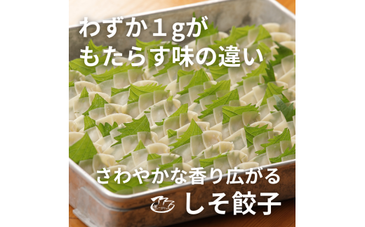 ⑳ぎょーざやさんのしそ餃子18個入り（027_5022）※北海道・沖縄・離島への配送不可 2113215 - 大阪府熊取町