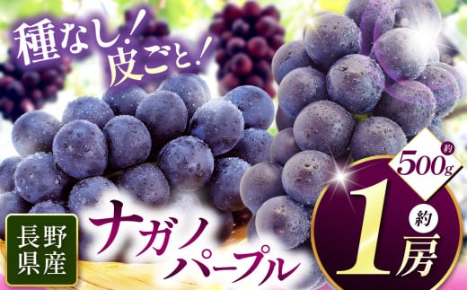 【先行受付】ナガノパープル 1房(約500g)|ふるさと納税 松本市 ぶどう 葡萄 ナガノパープル 果物 フルーツ 種無し 新鮮 信州産 先行予約 2110754 - 長野県松本市