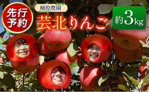 りんご 国産 3kg 農家直送 槇原農園 芸北りんご 林檎 トキ 早生ふじ 千秋 シナノドルチェ シナノスイート ぐんま名月 シナノゴールド ふじ_MA077_001