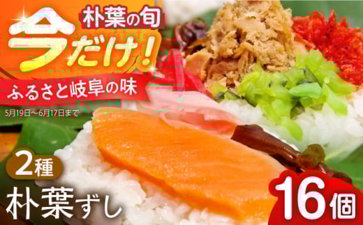 ＼5,6月限定／ 朴葉ずし 16個入（鮭×8 シーチキン×8） 白川町 / クオーレふれあいの里 朴葉寿司 朴葉 すし [AWAP007]