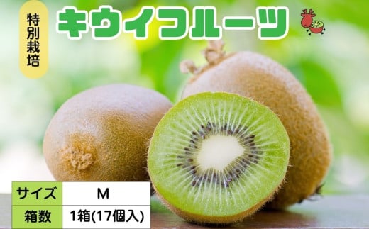 手摘み熟成キウイフルーツ〈出荷時期:2024年11月1日出荷開始 手摘み熟成キウイフルーツ〈出荷時期:2024年11月1日出荷開始