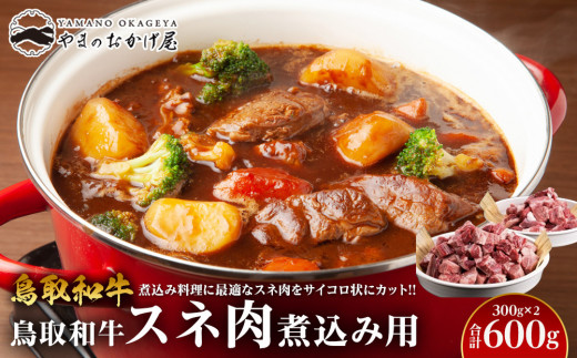 70.鳥取和牛 スネ肉煮込み用 300g×2パック 553820 - 鳥取県北栄町