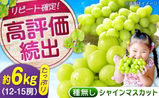 数量限定/9月上旬〜9月下旬頃発送 沼隈ぶどう「シャインマスカット」 約2kg×3(12〜15房) 広島県福山市/福山市農業協同組合　沼隈グリーンセンター ぶどう ブドウ 葡萄 種なし 大粒 マスカット シャインマスカット [BAEV012]