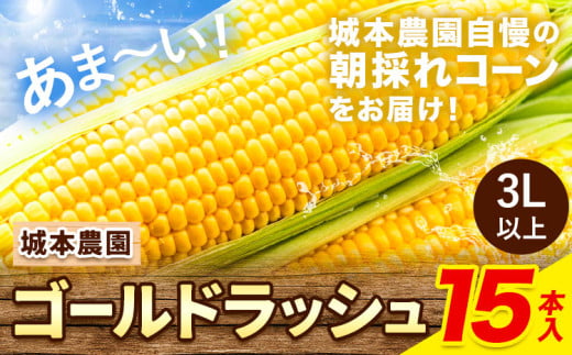 [先行受付開始]産地直送 朝採れスイートコーン(ゴールドラッシュ)15本セット 特大 熊本 阿蘇 産山村 冷蔵 高糖度 夏野菜 トウモロコシ ギフト 今が旬 コーン 旬 お取り寄せ 人気 大人気 贈答 とうきび 送料無料[2025年7月中旬-8月下旬出荷]