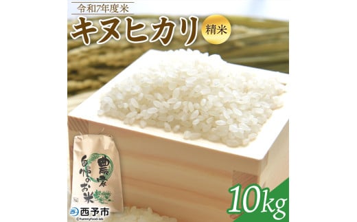 新米 ＜令和7年度 米 キヌヒカリ 精米 10kg＞ 単一原料米 単一米 きぬひかり お米 コメ こめ 白米 ご飯 ライス りの果樹園 愛媛県 西予市【常温】