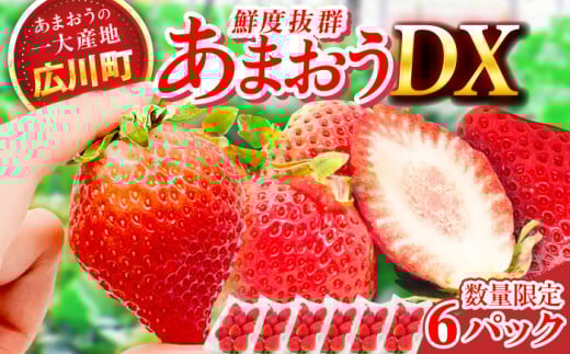 【★先行予約★　2026年2月より発送】あまおうDX等級 3ケース（270g×6パック）いちご イチゴ 苺 フルーツ 果物 旬 福岡県産 小分け あまおう 博多 大きい 甘い 広川町 / JAふくおか八女農産物直売所どろや [AFAB073] 1529867 - 福岡県広川町