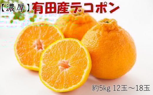 ［お味濃厚］紀州有田産の大玉デコポン約5kg(12玉～18玉入り・青秀以上) ★2026年１月中旬頃より順次発送［TM25］ 484382 - 和歌山県海南市