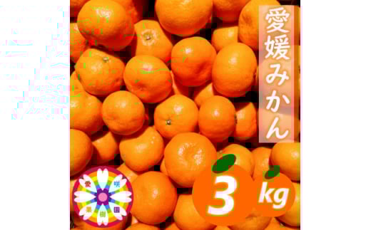 「 愛媛 みかん 」約3kg《 愛咲果樹園 》＜A71-25＞【1616827】 2111612 - 愛媛県八幡浜市