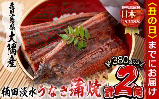 【丑の日までに配送】楠田の極うなぎ蒲焼き190g以上×2尾(計380g以上) 山椒付たれ 鰻 ウナギ 蒲焼 うな重 ひつまぶし 鹿児島 冷凍 おかず お祝い a7-021-us 2102401 - 鹿児島県志布志市