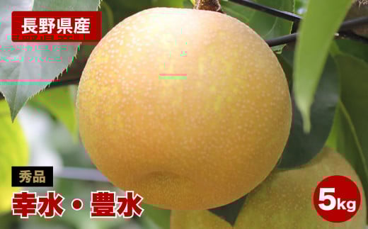 長野県産 溢れる果汁 ジューシーな 梨 ( 幸水 ・ 豊水 ) 約5キロ 秀品〈2025年8月下旬～9月下旬発送〉| 果物 くだもの フルーツ 梨 なし 幸水 豊水 長野県 信州 南信州 飯田市 959095 - 長野県飯田市