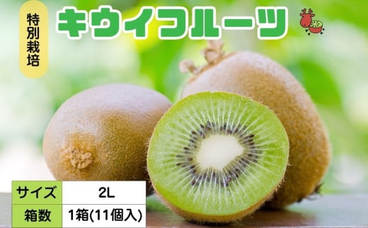 のし付き><農薬不使用>ミネラルたっぷり中井町産キウイ のし付き><農薬不使用>ミネラルたっぷり中井町産キウイ