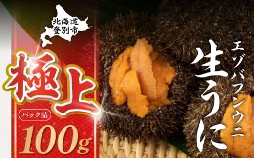 【6月-9月発送】先行予約 極上 エゾバフンウニ 100g（パック詰）配送期間A：6月上旬～9月上旬迄 | ふるさと納税 うに 高級 ウニ 雲丹 生ウニ エゾバフンウニ パックうに 北海道 登別 ふるさと 人気 ランキング 送料無料