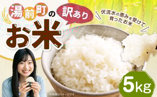 「訳あり」湯前町のお米 5kg 米 お米 ご飯 ごはん 白米 精米 1袋 訳あり 訳アリ 熊本県 湯前町