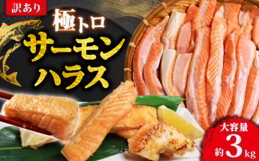 訳あり トロ サーモン ハラス 約3kg （約1kg×3） アトランティックサーモン サーモンハラス トロサーモン サーモン 鮭 さけ しゃけ 規格外 小分け 冷凍 真空 真空パック お弁当 惣菜 おかず 塩焼き 長期保存 鮮度 旨味 お取り寄せ グルメ 食品 魚 魚貝 大容量 ギフト 贈答 贈物 贈り物 プレゼント 海鮮 ふるさと納税 ふるさと納税サーモン 送料無料 千葉県 銚子市 荒野商店 1516749 - 千葉県銚子市