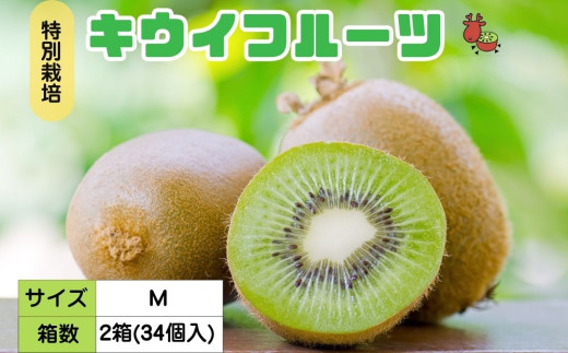 ＜12月以降順次発送＞こだわり プレミアムキウイフルーツ Mサイズ 17個×2箱入 追熟処理済／ ふるさと納税 キウイ キウイフルーツ ギフト 栄養 果物 お土産 化学肥料不使用 特別栽培 塩 奈良県 宇陀市 やまとファームJAPAN