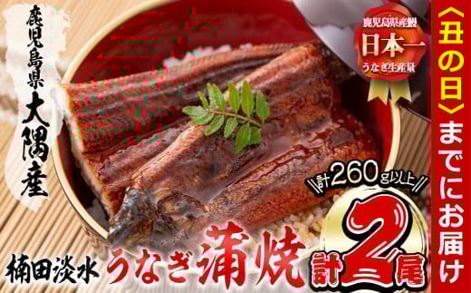 【丑の日までに配送】楠田の極うなぎ蒲焼き130g以上×2尾(計260g以上) 山椒付たれ 鰻 ウナギ 蒲焼 うな重 ひつまぶし 鹿児島 冷凍 おかず お祝い a4-093-us 2102437 - 鹿児島県志布志市