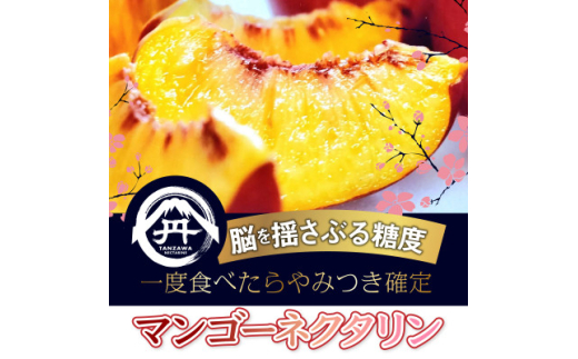 ＜今しか食べられない初物マンゴーネクタリン＞脳内に直接響く圧倒的糖度 6月下旬より順次発送 約1kg【1622372】 2111607 - 山梨県山梨市