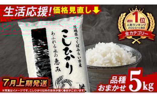 【 7月上期発送 / 数量限定 】茨城県産 精米 5kg (品種おまかせ） 令和6年産 こしひかり 米 コメ こめ 単一米 限定 茨城県産 国産 美味しい お米 おこめ おコメ