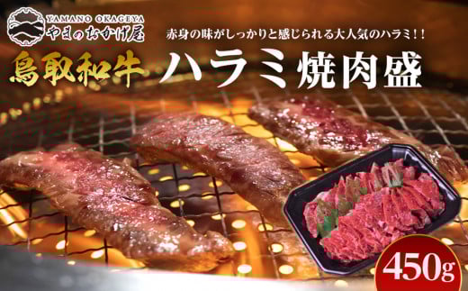 53.鳥取牛ハラミ焼肉盛 450g 553804 - 鳥取県北栄町