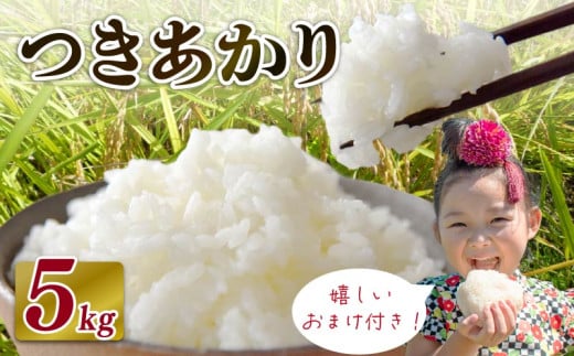 【2025年9月発送】米 つきあかり 5 kg  お米 白米 新米 白米 精米 ご飯 白 ごはん おいしい お茶 3袋 つき! 緑茶 玄米茶 やぶきた ティーパック 深蒸し茶  国産 静岡県 牧之原市 日用品 日常 便利  2113165 - 静岡県牧之原市