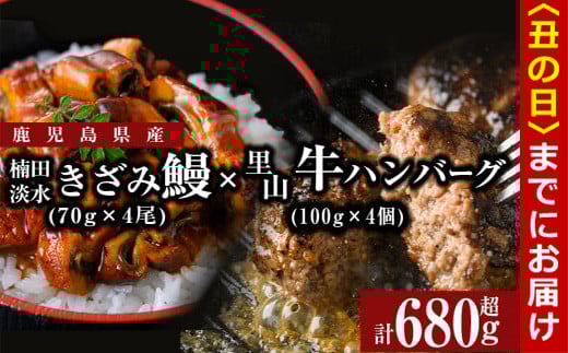[丑の日までに配送]里山牛ハンバーグ&きざみうなぎセット (総計680g以上) うなぎ 鰻 ウナギ 蒲焼き 真空パック うな丼 鰻重 牛 牛肉 鹿児島県産 国産 ハンバーグ 100% b0-188-us
