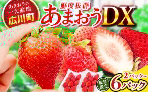 [★先行予約★ 2026年2月より発送][選べる容量]あまおうDX等級 約540g〜約1.6kg いちご イチゴ 苺 フルーツ 果物 旬 福岡県産 小分け あまおう 博多 大きい 甘い 広川町 / JAふくおか八女農産物直売所どろや [AFAB004,072,073]