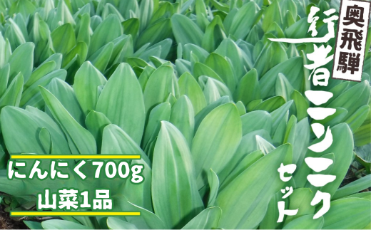 [先行予約]選べる内容量 奥飛騨産とれたて新鮮 生行者ニンニク 700g , 山菜1品 行者ニンニク 行者にんにく 醤油漬け [4月下旬〜5月上旬発送]12000円 [Q655xch]