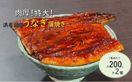 工場直送！特大!!浜名湖産うなぎ蒲焼き 真空パック 約200g×2尾 タレ・山椒付き うなぎ 鰻 ウナギ 蒲焼 冷凍 浜松市 静岡 [№5360-0479]