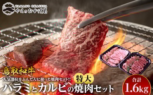 45.鳥取牛ハラミと鳥取和牛カルビの特大焼肉セット 合計1.6kg 553796 - 鳥取県北栄町