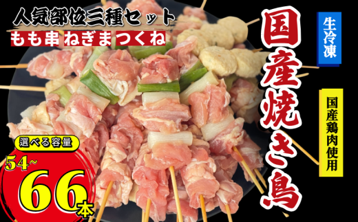 焼き鳥 セット 54～66本 もも つくね ねぎま 鶏肉 やきとり 串焼 チキン もも肉 つくね おかず 塩焼き スパイス 照り焼き おつまみ ビール BBQ パーティー イベント 小分け 包装 冷凍 徳島 小松島 とり信